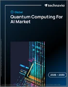 表紙：AI向け量子コンピューティングの世界市場 2026年～2030年