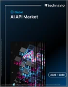 表紙：AI APIの世界市場 2026年～2030年
