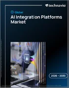 表紙：AI統合プラットフォームの世界市場 2026年～2030年