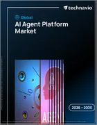 表紙：AIエージェントプラットフォームの世界市場 2026年～2030年
