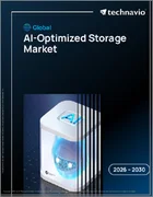 表紙：AI最適化ストレージの世界市場 2026年～2030年