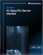 表紙：AI専用サーバーの世界市場 2026年～2030年