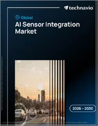 表紙：AIセンサー統合の世界市場 2026年～2030年
