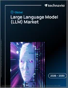 表紙：大規模言語モデル（LLM）の世界市場 2026年～2030年