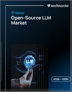 表紙：オープンソースLlmの世界市場 2026年～2030年