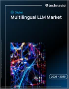 表紙：多言語対応LLMの世界市場 2026年～2030年