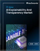 表紙：AIの説明性と透明性の世界市場 2026年～2030年