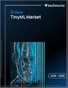 表紙：TinyMLの世界市場 2026年～2030年