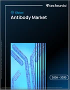 表紙：抗体の世界市場 2026年～2030年