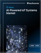 表紙：AI搭載IoTシステムの世界市場 2026年～2030年
