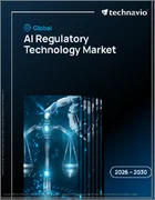 表紙：AI規制技術の世界市場 2026年～2030年