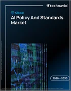 表紙：AI政策・標準の世界市場 2026年～2030年