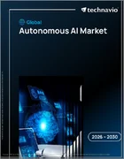 表紙：自律型AIの世界市場 2026年～2030年
