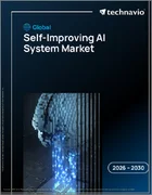 表紙：自己改善型AIシステムの世界市場 2026年～2030年
