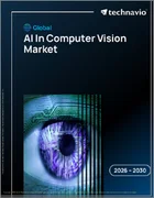 表紙：コンピュータビジョンにおけるAIの世界市場 2026年～2030年