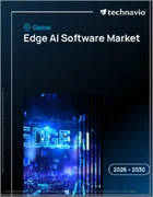 表紙：エッジAIソフトウェアの世界市場 2026年～2030年