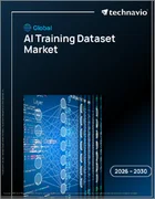 表紙：AIトレーニングデータセットの世界市場 2026年～2030年