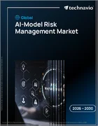 表紙：AIモデルリスク管理の世界市場 2026年～2030年