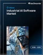 表紙：産業用AIソフトウェアの世界市場 2026年～2030年