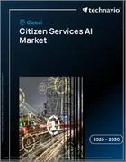 表紙：市民サービスAIの世界市場 2026年～2030年