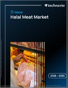 表紙：ハラール肉の世界市場 2026年～2030年