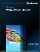 表紙：水上公園の世界市場 2026年～2030年