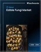 表紙：食用きのこの世界市場 2026年～2030年
