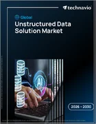 表紙：非構造化データソリューションの世界市場 2026年～2030年