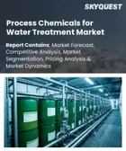 表紙：水処理用プロセス化学品の市場規模、シェア、および成長分析：製品タイプ別、用途別、エンドユーザー別、地域別―2026年～2033年の業界予測