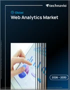 表紙：Webアナリティクスの世界市場 2026年～2030年