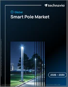 表紙：スマートポールの世界市場 2026年～2030年