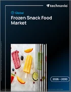 表紙：冷凍スナック食品の世界市場 2026年～2030年