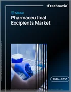 表紙：医薬品添加剤の世界市場 2026年～2030年