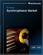 表紙：シンクロフェーサーの世界市場 2026年～2030年