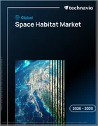 表紙：宇宙居住空間の世界市場 2026年～2030年