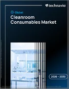 表紙：クリーンルーム消耗品の世界市場 2026年～2030年