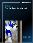 表紙：ソーシャルロボットの世界市場 2026年～2030年