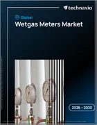 表紙：ウェットガスメーターの世界市場 2026年～2030年