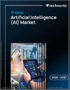 表紙：人工知能（AI）の世界市場 2026年～2030年