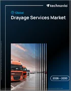表紙：ドレージサービスの世界市場 2026年～2030年