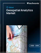 表紙：地理空間分析の世界市場 2026年～2030年