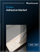 表紙：接着剤の世界市場 2026年～2030年
