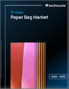 表紙：紙袋の世界市場 2026年～2030年