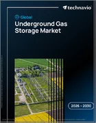 表紙：地下ガス貯蔵の世界市場 2026年～2030年