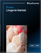 表紙：ランジェリーの世界市場 2026年～2030年