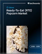 表紙：Ready-To-Eat（RTE）ポップコーンの世界市場 2026年～2030年