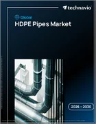 表紙：HDPEパイプの世界市場 2026年～2030年