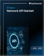 表紙：ネットワークAPIの世界市場 2026年～2030年