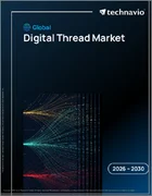 表紙：デジタルスレッドの世界市場 2026年～2030年