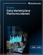 表紙：データマーケットプレイスプラットフォームの世界市場 2026年～2030年